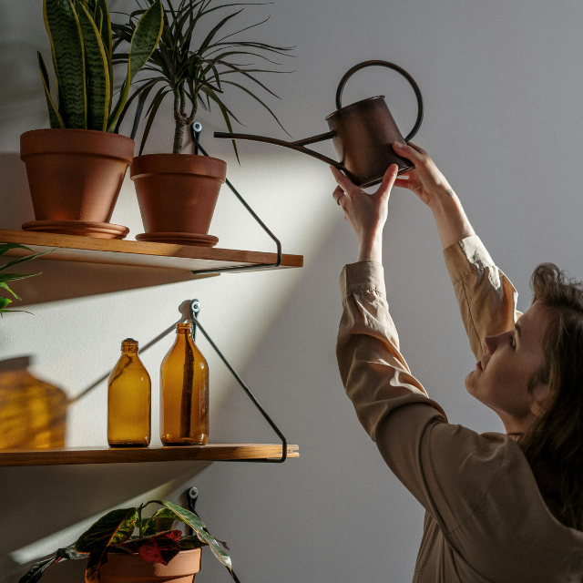 Cuidados Essenciais com Suas Plantas e Vasos em Períodos de Tempo Seco