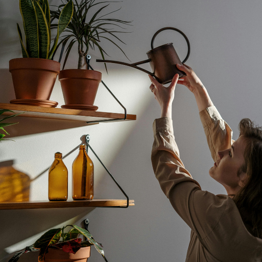 Cuidados Essenciais com Suas Plantas e Vasos em Períodos de Tempo Seco