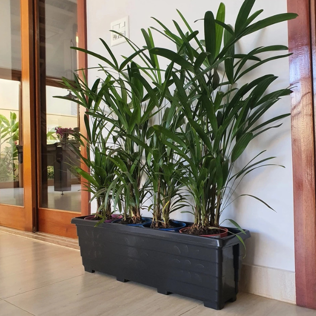 Vaso Jardineira Floreira