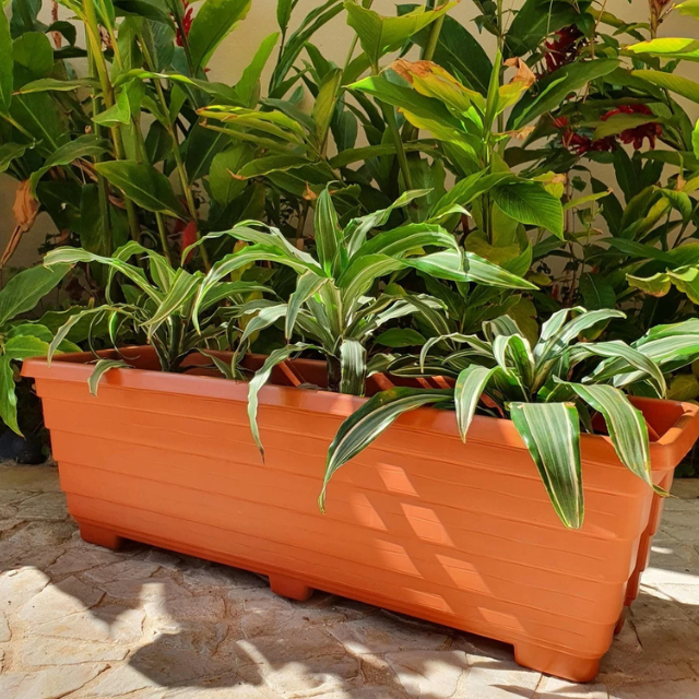 Vaso Jardineira Floreira