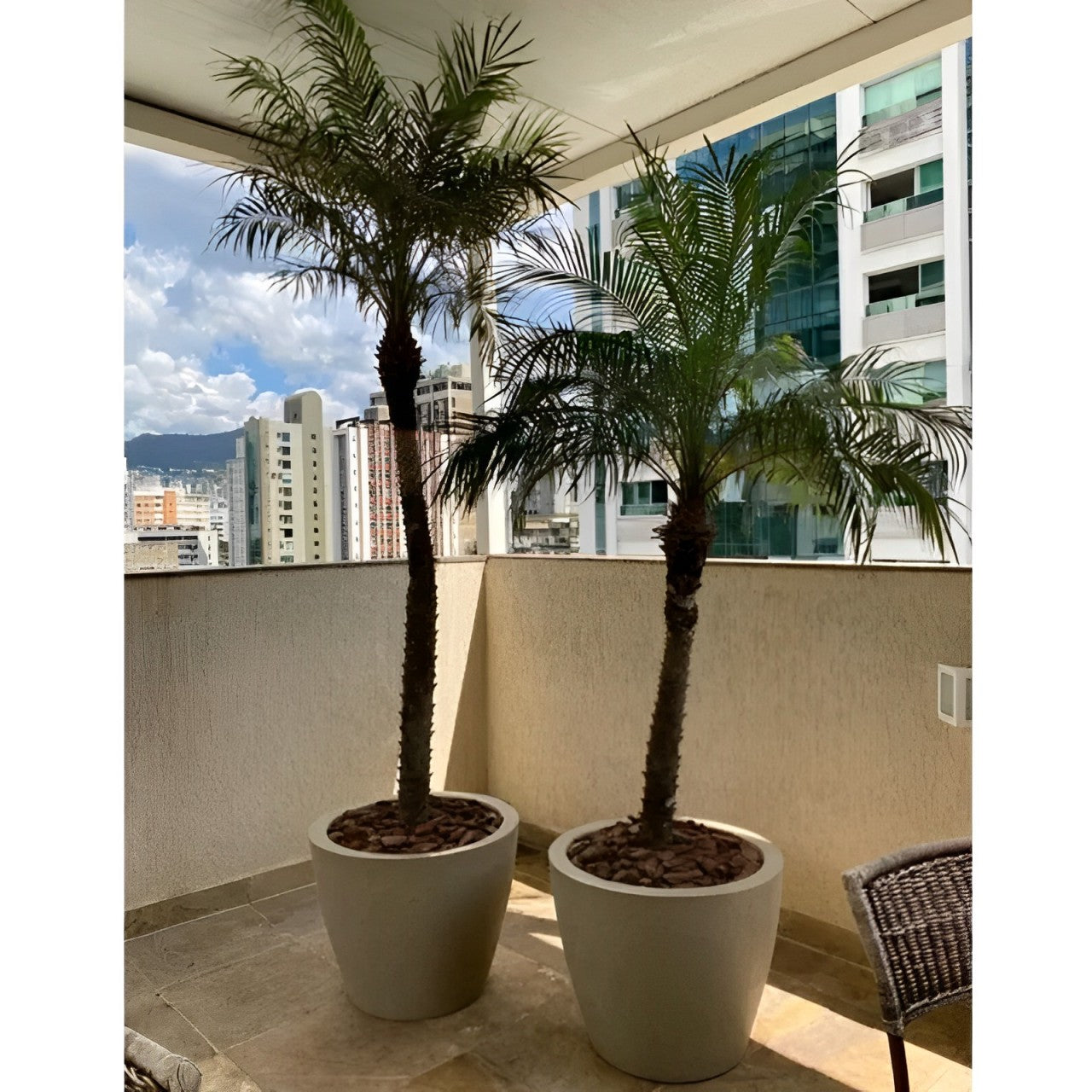 Vaso Redondo Grande para Plantas