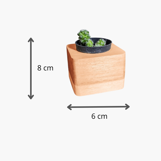 Kit 4 Cachepot Madeira para Plantas