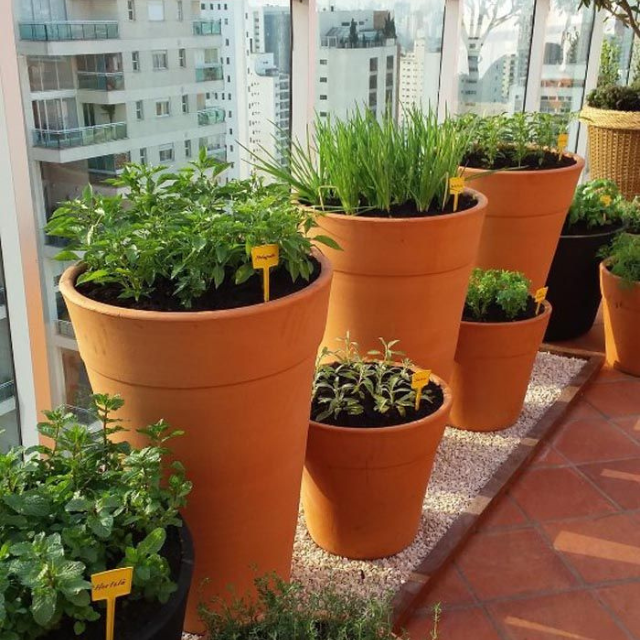 Passo a Passo: Montando Vasos Perfeitos para Suas Plantas