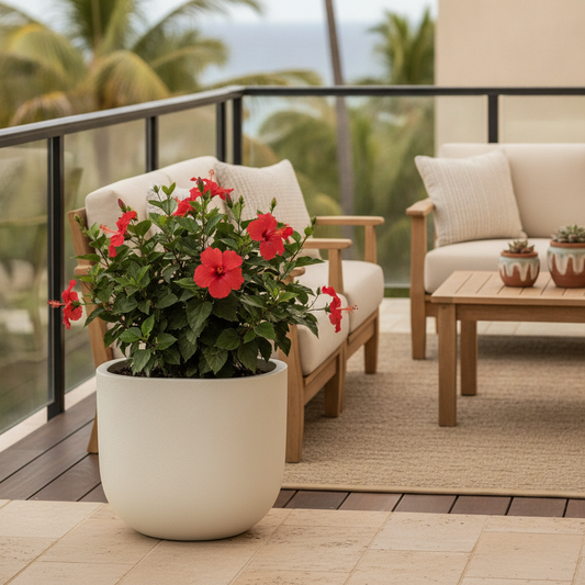 Vaso Ideal para Hibisco em Varandas: Espaço para Raízes e Flores