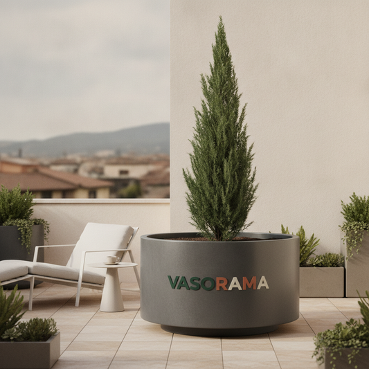 Vaso Ideal para Cipreste: Altura do Vaso vs Altura da Árvore