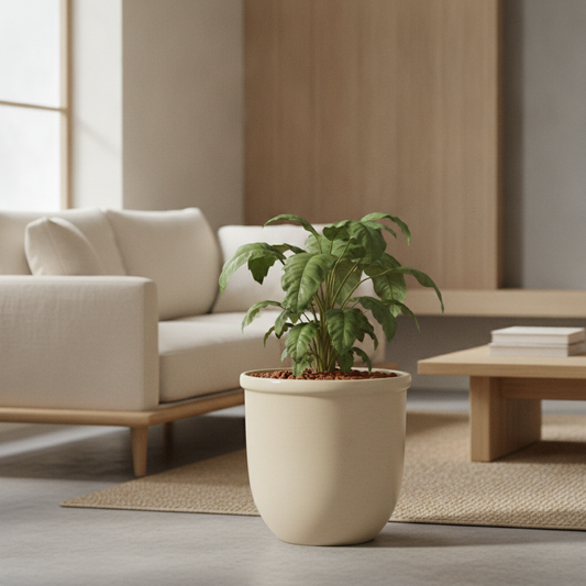 Por Que a Planta Murcha Mesmo com a Terra do Vaso Úmida?
