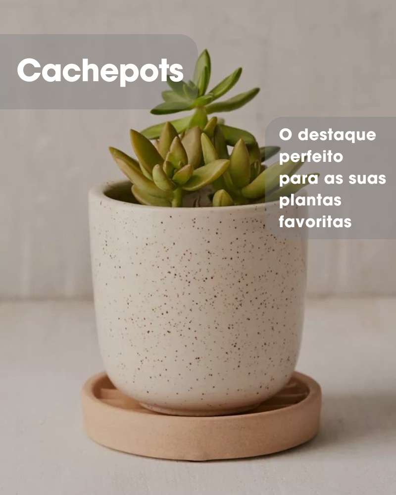 Cachepot para plantas