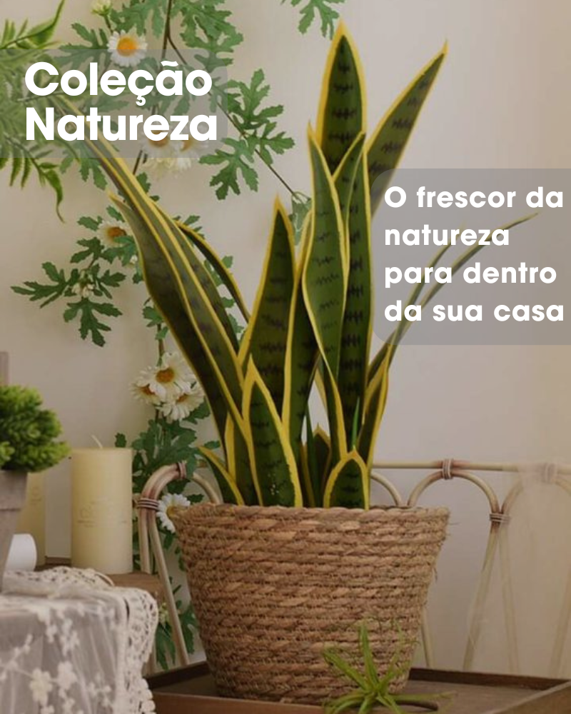 Coleção Natureza