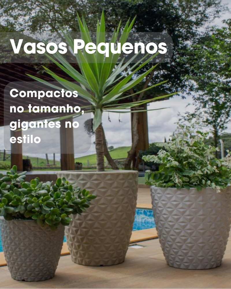 Vasos Pequenos