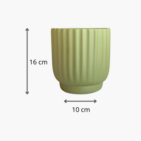 Cachepot Decorativo 16cm Cerâmica