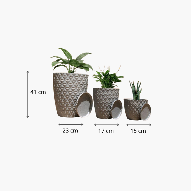 Vaso para Plantas