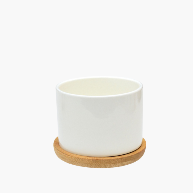 cachepot ceramica,
cachepot cerâmica,
cachepot de ceramica,
cachepot ceramica branco,
cachepot cerâmica branco,
cachepot cerâmica branca,
cachepot pequeno,
cachepot para suculenta,
cachepô para suculenta