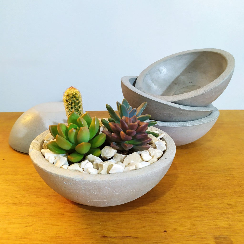 Vaso Para Rosa do Deserto