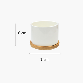 cachepot ceramica,
cachepot cerâmica,
cachepot de ceramica,
cachepot ceramica branco,
cachepot cerâmica branco,
cachepot cerâmica branca,
cachepot pequeno,
cachepot para suculenta,
cachepô para suculenta