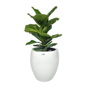 vaso de plantas decorativos,
vasos e plantas decorativas,
vasos para plantas decorativos,
Vaso de Planta Decorativo,