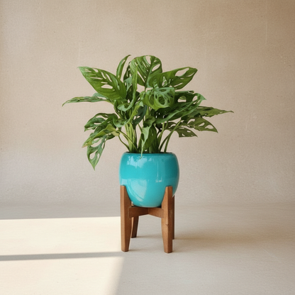 Cachepot Aura Tripod — Série Porcelana