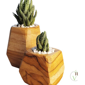 Conjunto 2 Cachepot Madeira Decorativo (Compre 1 Leve 2)