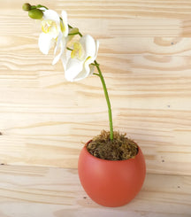 Vaso Para Orquídea em Cerâmica Decoração