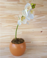 Vaso Para Orquídea em Cerâmica Decoração