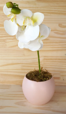 Vaso Para Orquídea em Cerâmica Decoração